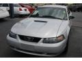 2002 Satin Silver Metallic Ford Mustang V6 Coupe  photo #3