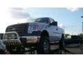 2009 Brilliant Silver Metallic Ford F150 XL Regular Cab  photo #1