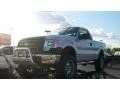 2009 Brilliant Silver Metallic Ford F150 XL Regular Cab  photo #5