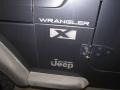 2002 Steel Blue Pearl Jeep Wrangler X 4x4  photo #7