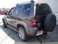 2005 Dark Khaki Pearl Jeep Liberty Renegade 4x4  photo #3