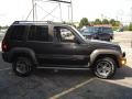 2005 Dark Khaki Pearl Jeep Liberty Renegade 4x4  photo #6