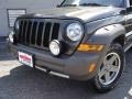 2005 Dark Khaki Pearl Jeep Liberty Renegade 4x4  photo #9