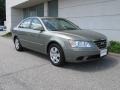 Willow Gray - Sonata GLS V6 Photo No. 1