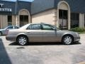 Radiant Bronze - DTS Luxury Photo No. 7