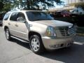 Gold Mist - Escalade AWD Photo No. 6