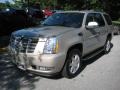 Gold Mist - Escalade AWD Photo No. 8