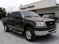 2006 Dark Stone Metallic Ford F150 XLT SuperCrew 4x4  photo #1