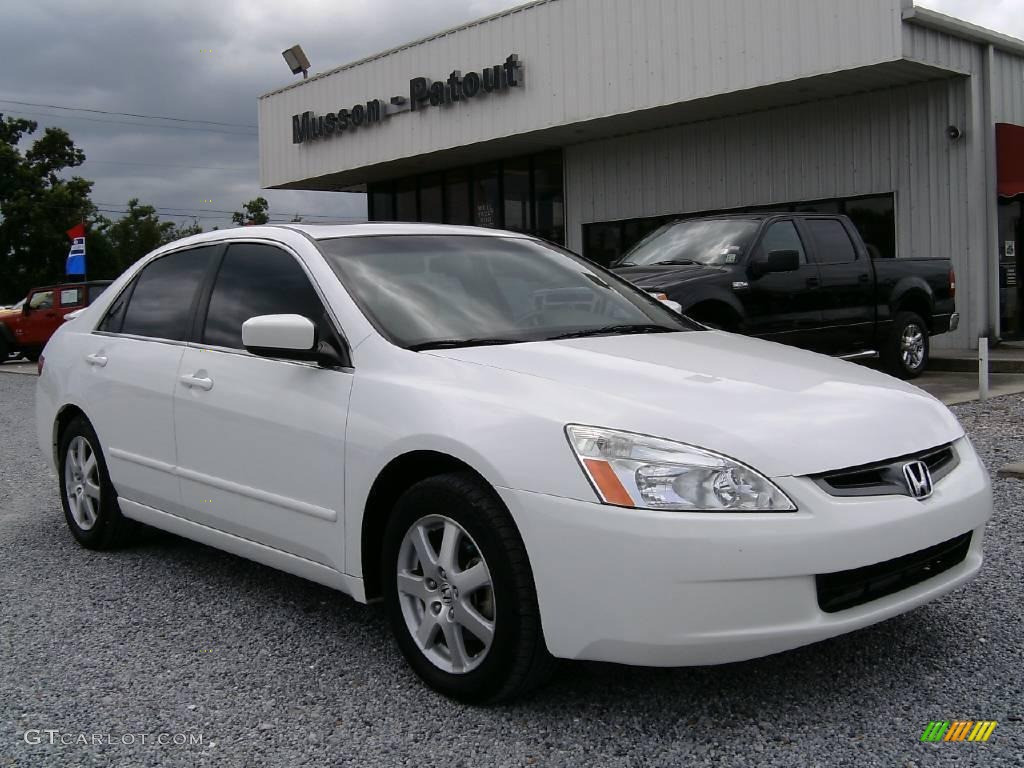 2005 Accord EX-L V6 Sedan - Taffeta White / Ivory photo #1