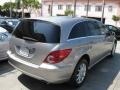 2006 Pewter Metallic Mercedes-Benz R 350 4Matic  photo #3