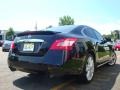 Super Black - Maxima 3.5 SV Premium Photo No. 11