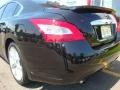Super Black - Maxima 3.5 SV Premium Photo No. 22