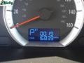 Camel Pearl - Sonata GLS Photo No. 20