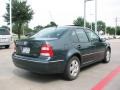 Alaska Green Metallic - Jetta GLS Sedan Photo No. 5