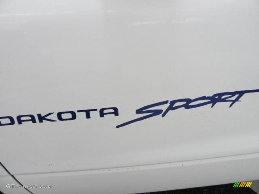 2000 Dakota Sport Crew Cab 4x4 - Bright White / Mist Gray photo #11
