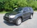 Shadow Mica - 4Runner SR5 Photo No. 1