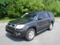 2007 Shadow Mica Toyota 4Runner SR5  photo #1