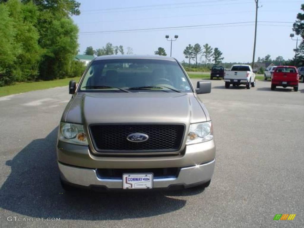 2004 F150 XLT SuperCab - Arizona Beige Metallic / Tan photo #2