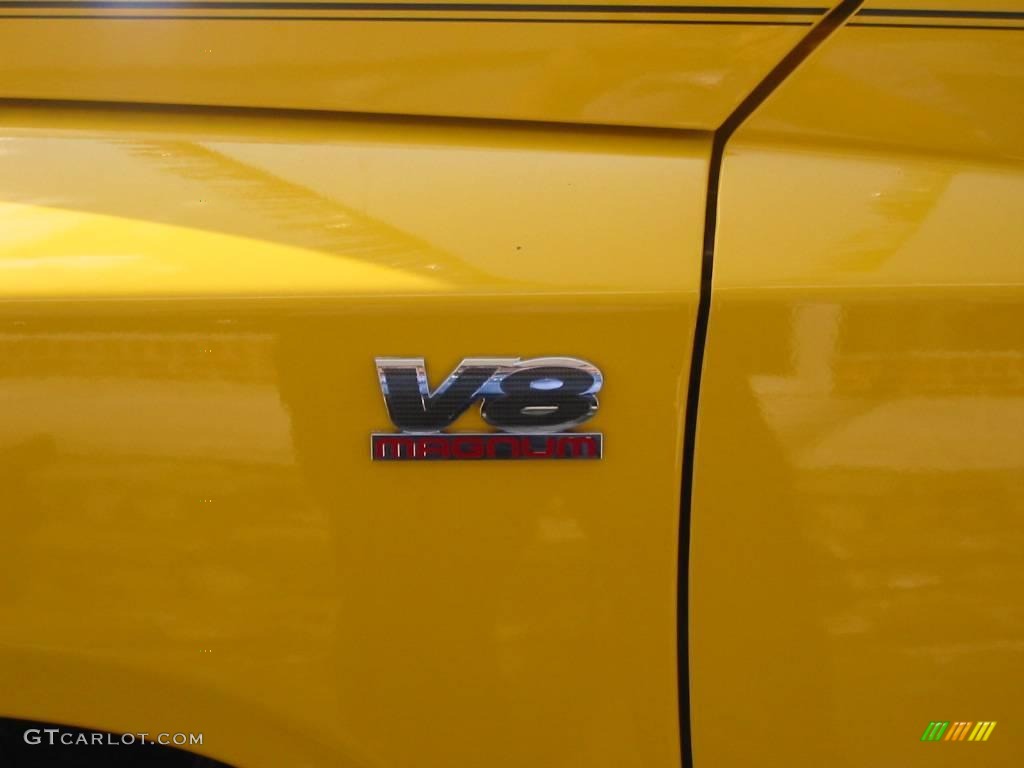 2009 Dakota Big Horn Extended Cab - Detonator Yellow / Dark Slate Gray/Medium Slate Gray photo #10