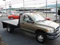 2008 Light Khaki Metallic Dodge Ram 3500 ST Regular Cab Chassis  photo #2