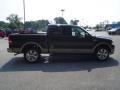 2006 Dark Stone Metallic Ford F150 Lariat SuperCrew  photo #4