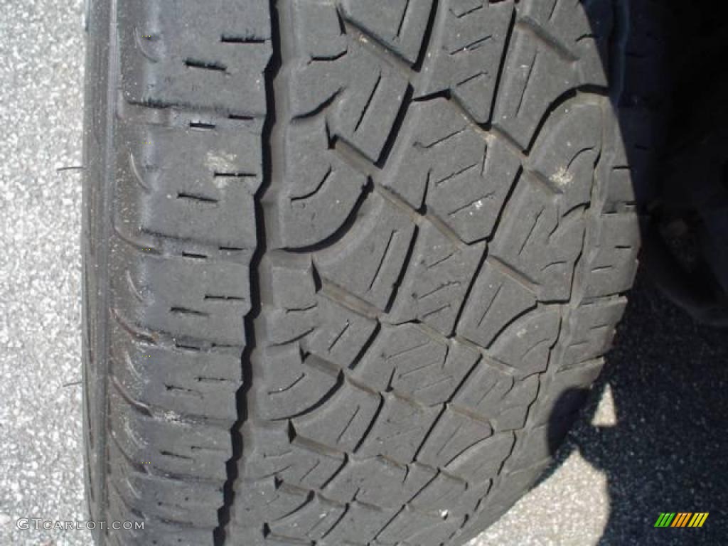2006 F150 Lariat SuperCrew - Dark Stone Metallic / Tan photo #10