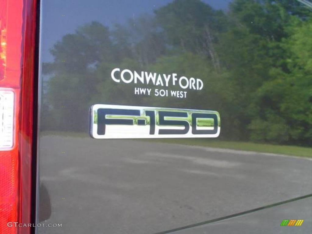 2006 F150 Lariat SuperCrew - Dark Stone Metallic / Tan photo #13