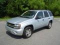 Silverstone Metallic - TrailBlazer LS Photo No. 6
