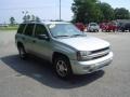 Silverstone Metallic - TrailBlazer LS Photo No. 8