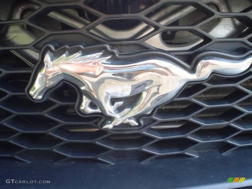 2009 Mustang V6 Coupe - Brilliant Silver Metallic / Light Graphite photo #12
