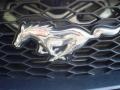 2009 Brilliant Silver Metallic Ford Mustang V6 Coupe  photo #12