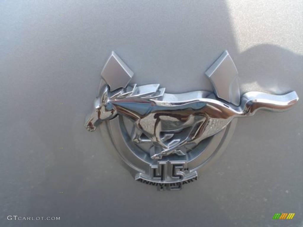 2009 Mustang V6 Coupe - Brilliant Silver Metallic / Light Graphite photo #13