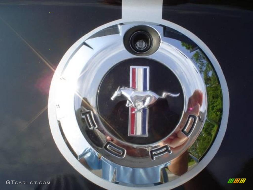 2009 Mustang V6 Coupe - Brilliant Silver Metallic / Light Graphite photo #14