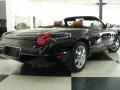 2003 Evening Black Ford Thunderbird Premium Roadster  photo #4