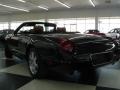 2003 Evening Black Ford Thunderbird Premium Roadster  photo #6