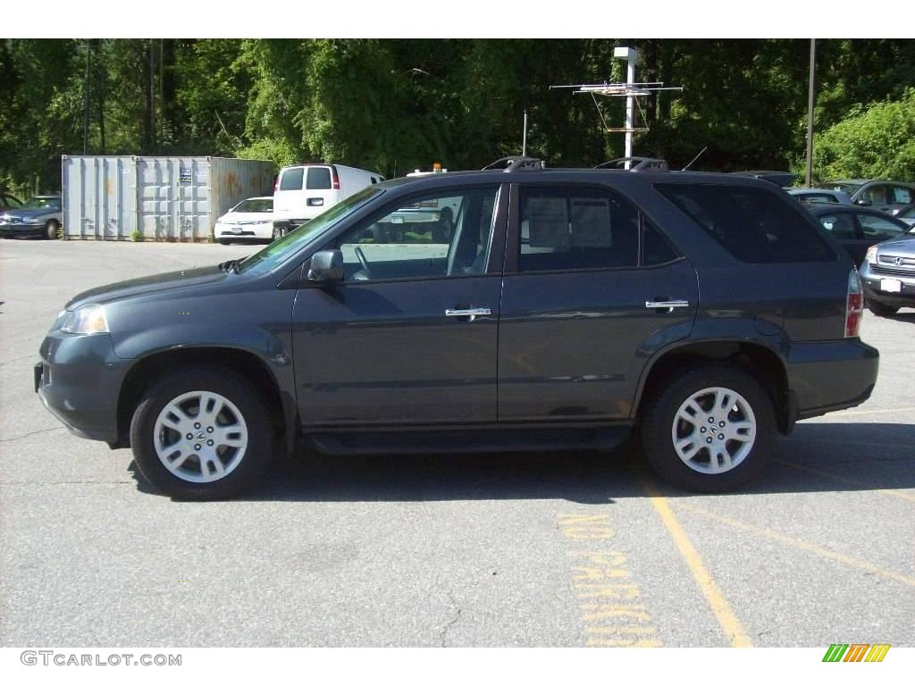 2004 MDX  - Sagebrush Pearl / Quartz photo #19