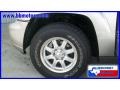 Light Pewter Metallic - TrailBlazer LT Photo No. 12