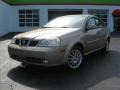 Champagne Beige Metallic 2004 Suzuki Forenza LX