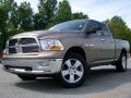 2009 Austin Tan Pearl Dodge Ram 1500 Big Horn Edition Quad Cab 4x4  photo #4