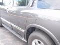 Silver Graphite Metallic - QX 56 4WD Photo No. 10