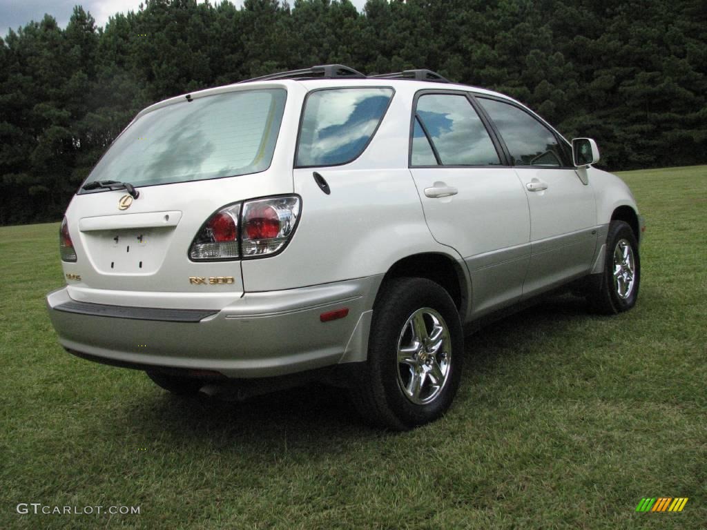 2002 RX 300 - White Gold Crystal / Ivory photo #5