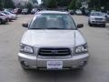 Crystal Gray Metallic - Forester 2.5 XS Photo No. 3