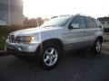 Titanium Silver Metallic - X5 3.0i Photo No. 1