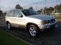 2003 Titanium Silver Metallic BMW X5 3.0i  photo #2