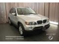 Titanium Silver Metallic - X5 3.0i Photo No. 6