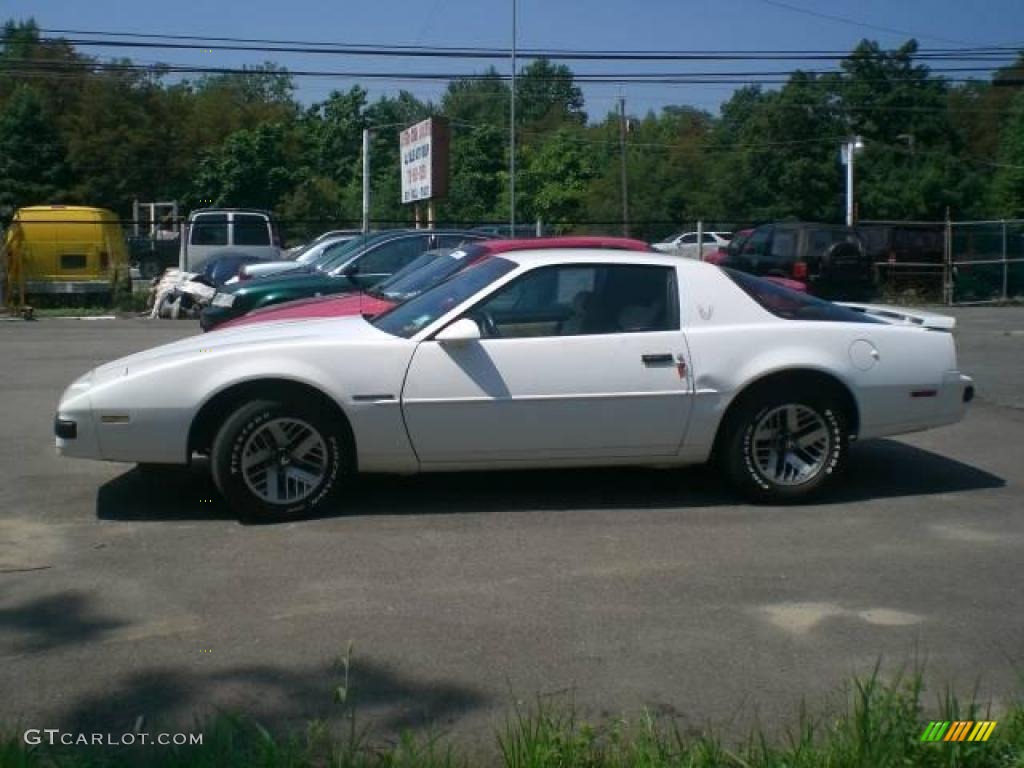 1989 Firebird Coupe - White / Tan photo #3