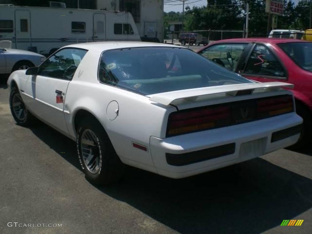 1989 Firebird Coupe - White / Tan photo #4