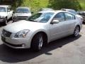 Liquid Silver Metallic - Maxima 3.5 SE Photo No. 1