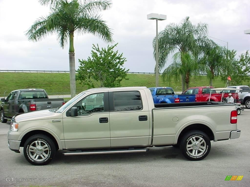 2006 F150 Lariat SuperCrew - Smokestone Metallic / Black photo #6