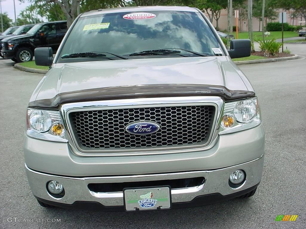 2006 F150 Lariat SuperCrew - Smokestone Metallic / Black photo #8